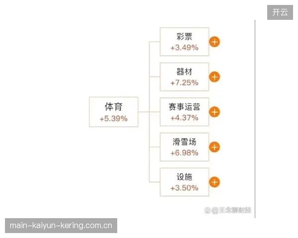 体育创业热潮：赛事运营、训练科技与内容平台受追捧